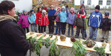 Kinder lernen Gemüse und Kräuter kennen